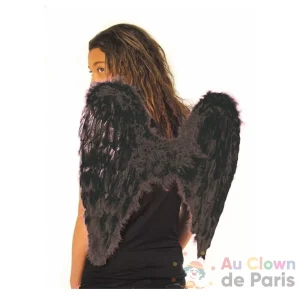 Ailes d’ange noires